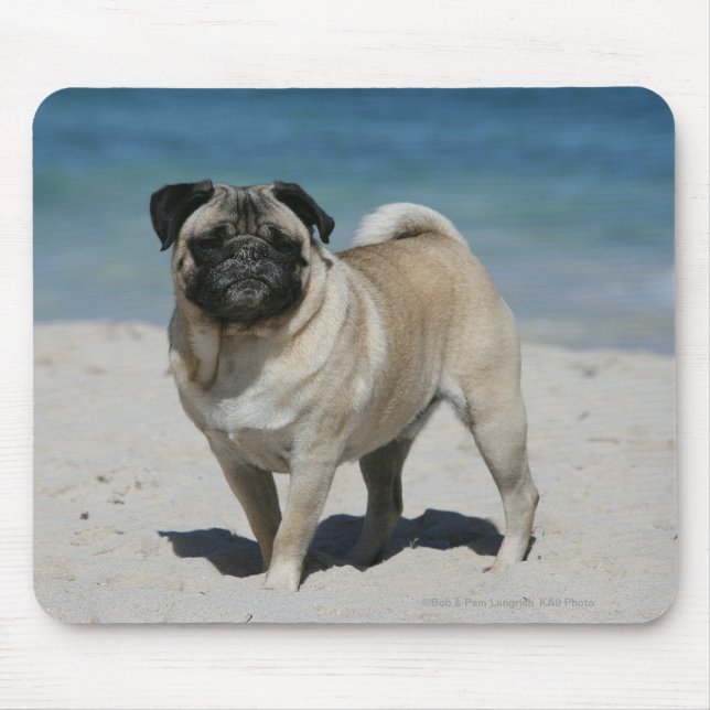 Fawn Pug at the Beach Mouse Pad (Front)