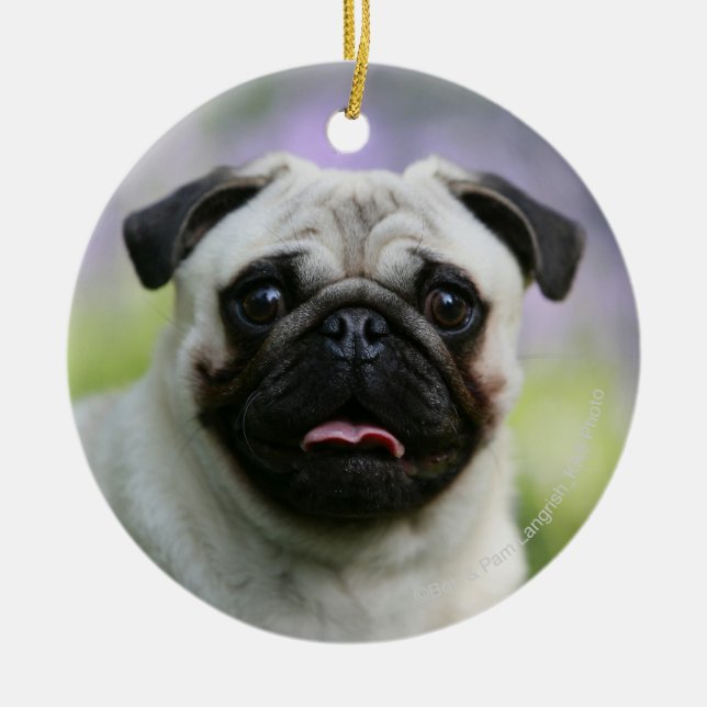 Fawn Pug on Alert Ceramic Tree Decoration (Front)