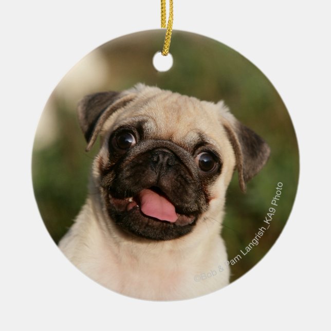 Fawn Pug Puppy Panting Ceramic Ornament (Front)