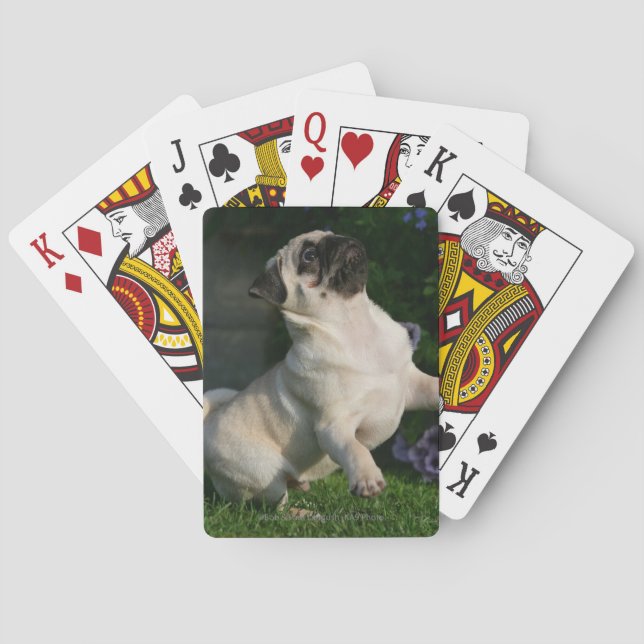 Fawn Pug Puppy Playing Cards (Back)