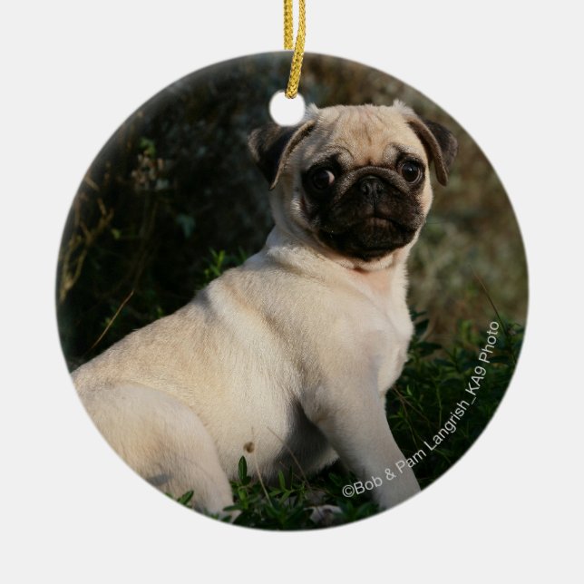 Fawn Pug Puppy Sitting Ceramic Ornament (Front)