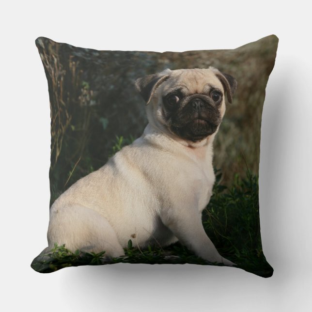 Fawn Pug Puppy Sitting Cushion (Front)
