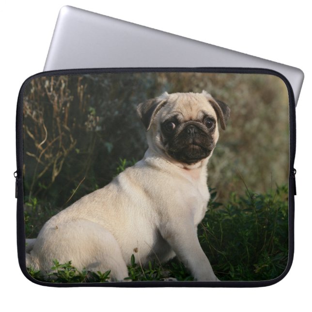 Fawn Pug Puppy Sitting Laptop Sleeve (Front)
