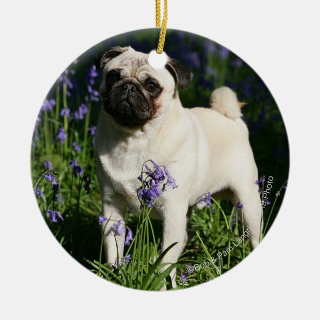 Fawn Pug Standing in the Bluebells Ceramic Ornament (Front)