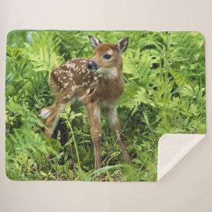 FAWN SHERPA BLANKET