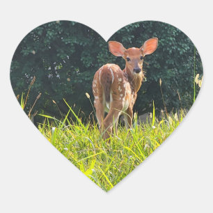 Fawn Standing in the Grass Heart Sticker