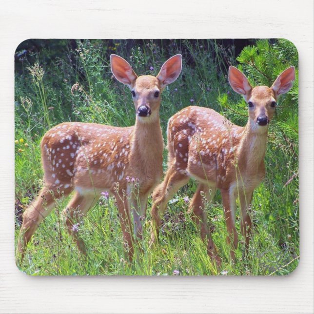 Fawn Twins in the Hawkweed Mousepad (Front)