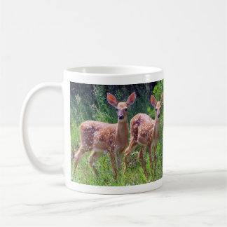 Fawn Twins in the Hawkweed Mug