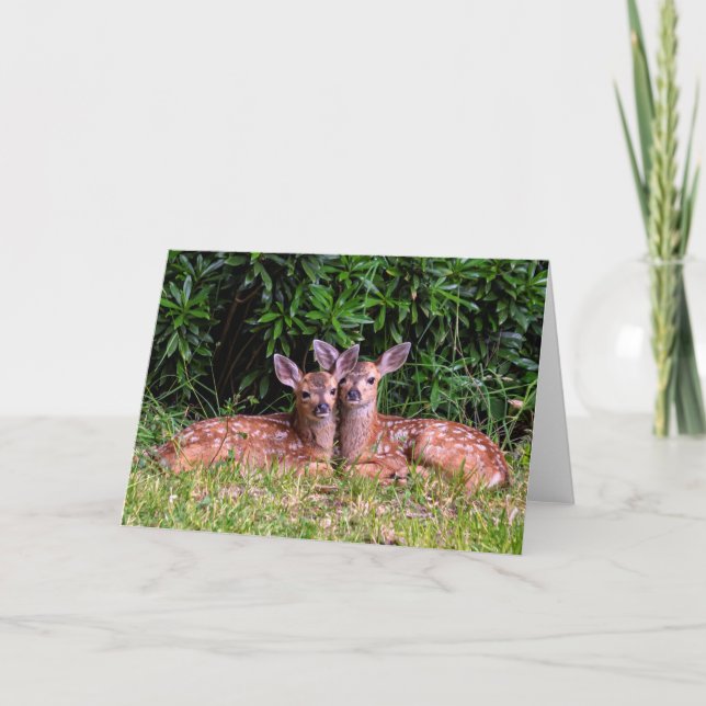 Fawn Twins - Pender Island BC. Card (Front)