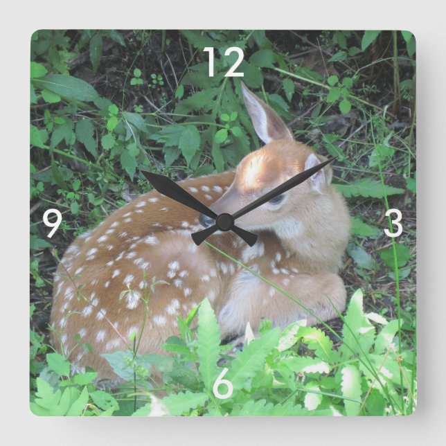Fawn Wall Clock (Front)