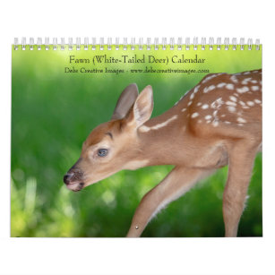Fawn (white-tailed deer) 2024 calendar