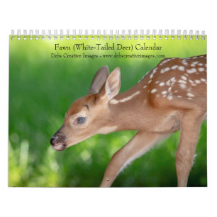 Fawn (white-tailed deer) 2025 calendar