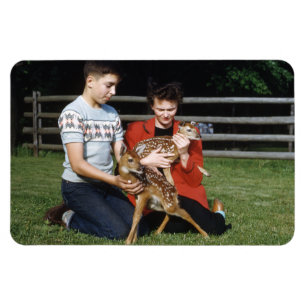 Fawns, Baby Deer Magnet