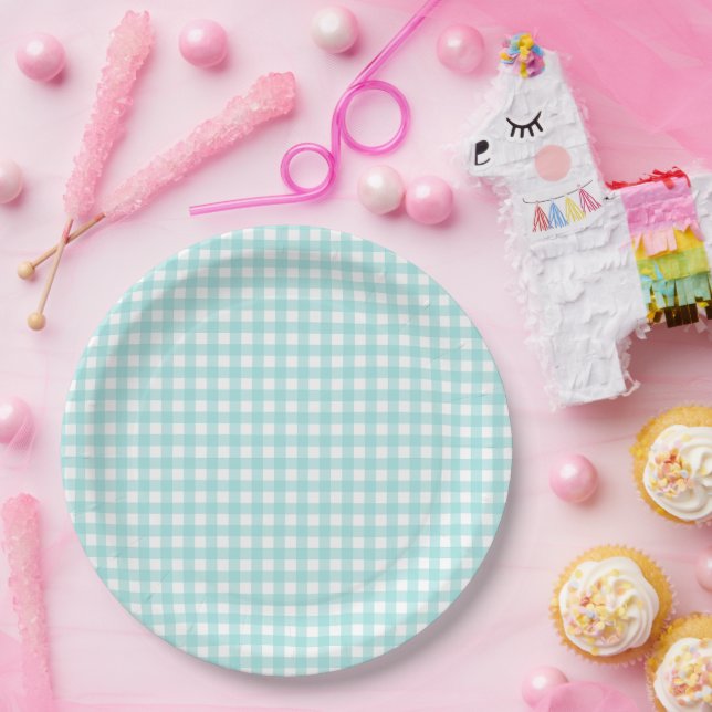 Faye and Lauren Aqua Blue Gingham Paper Plate (Party)