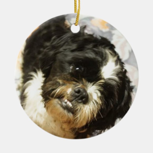 FB_IMG_1481505521015 Shitzu dog Ceramic Tree Decoration (Front)