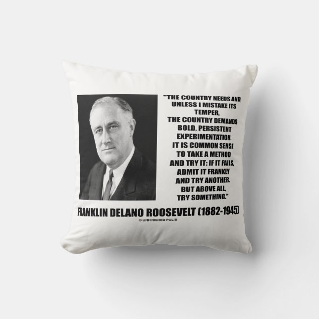 FDR Country Needs Bold Persistent Experimentation Cushion (Front)