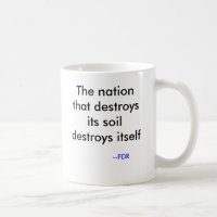 FDR the conservationist
