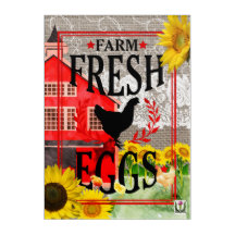 FD's Country Bumpkins' Artwork 53086C39