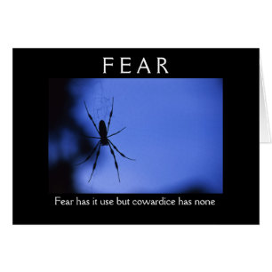 Fear
