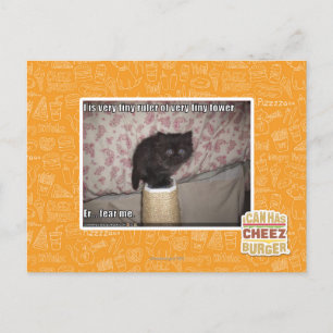 Fear me postcard