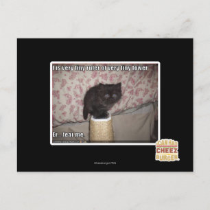 Fear me postcard