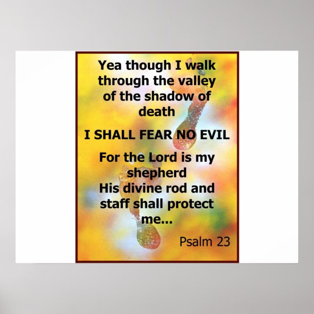 Fear No Evil Psalm Scripture spray painting Poster (Front)
