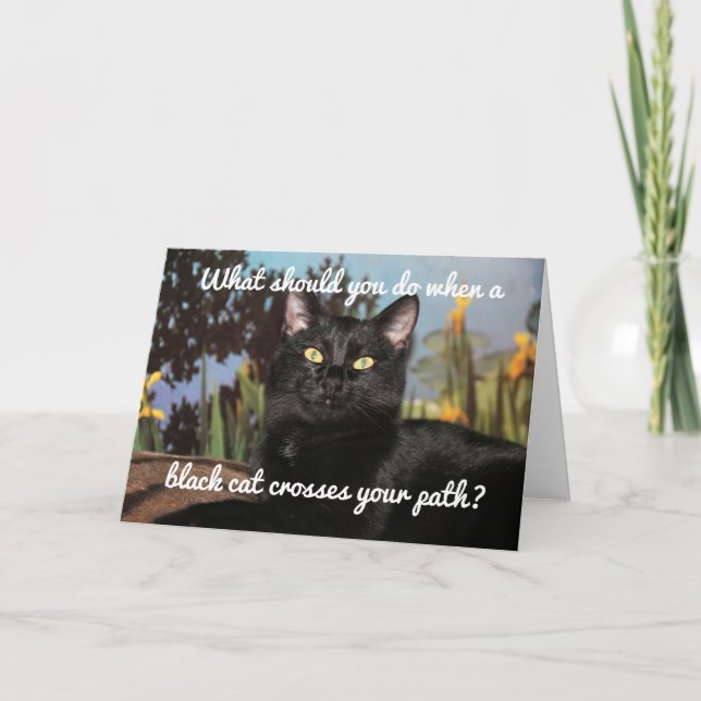Fear Of Black Cats Card (Front)