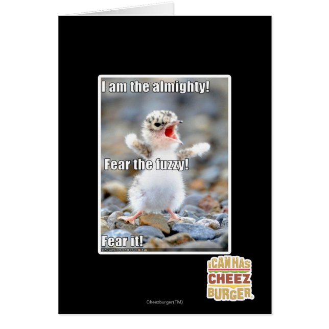 Fear the Fuzzy! (Front)