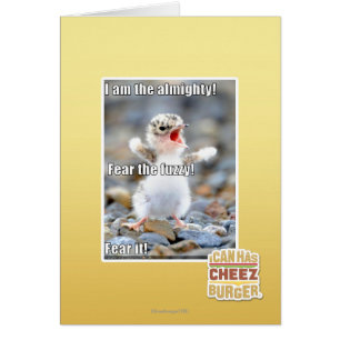 Fear the Fuzzy!