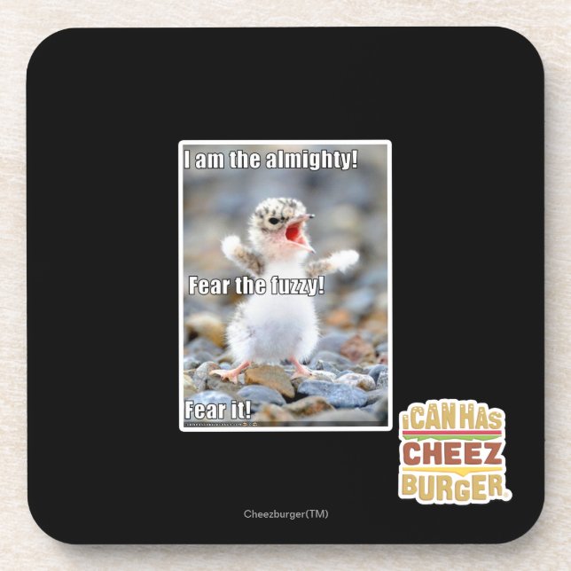 Fear the Fuzzy! Coaster (Front)