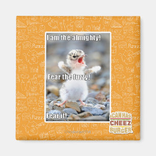 Fear the Fuzzy! Magnet