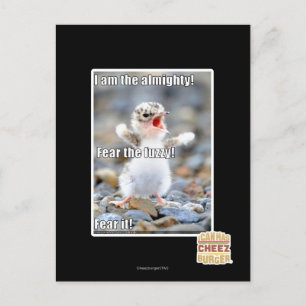 Fear the Fuzzy! Postcard