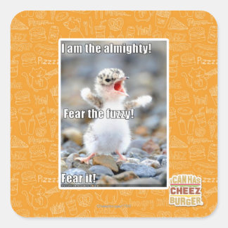 Fear the Fuzzy! Square Sticker