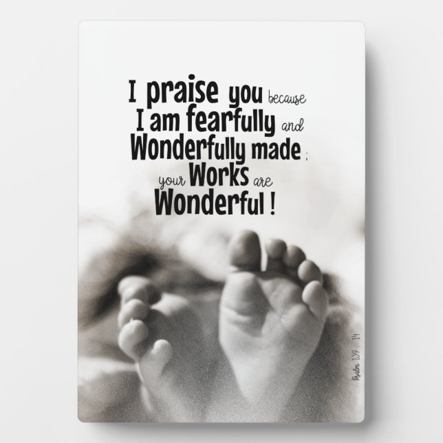 Fearfully and wonderfully made plaque (Front)