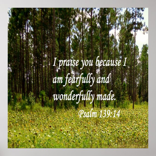 Fearfully and Wonderfully Made Poster (Front)