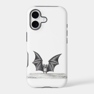 Fearless Little Bat
