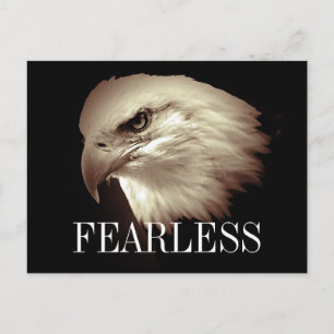 Fearless Motivational Bald Eagle Postcards