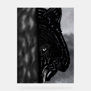 Fearlessly Watching – Hand-Drawn Wolf Acrylic Sign