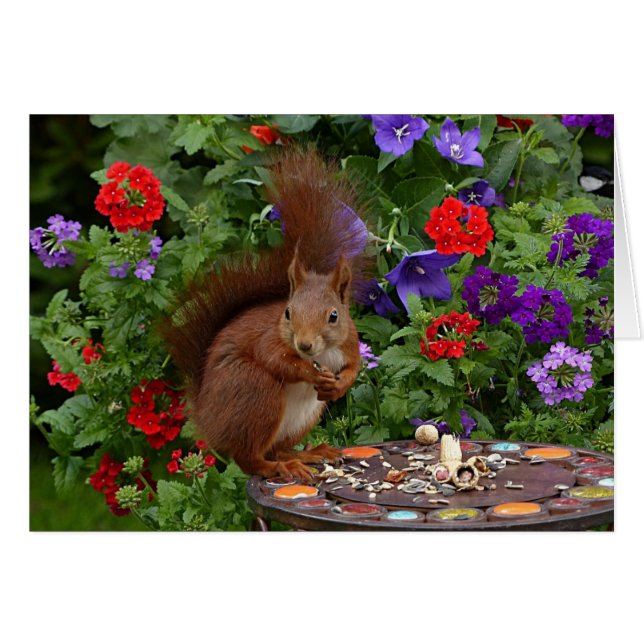 Feasting In The Garden Greeting Card (Front Horizontal)