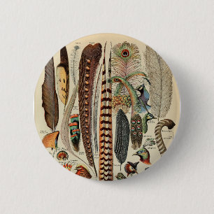 Feather Bird Wildlife Antique Feathers 6 Cm Round Badge
