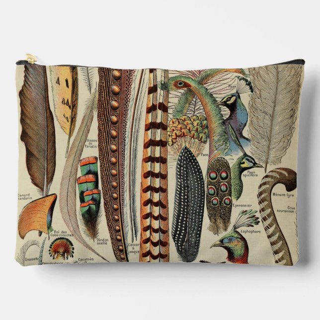 Feather Bird Wildlife Antique Feathers Accessory Pouch (Front)