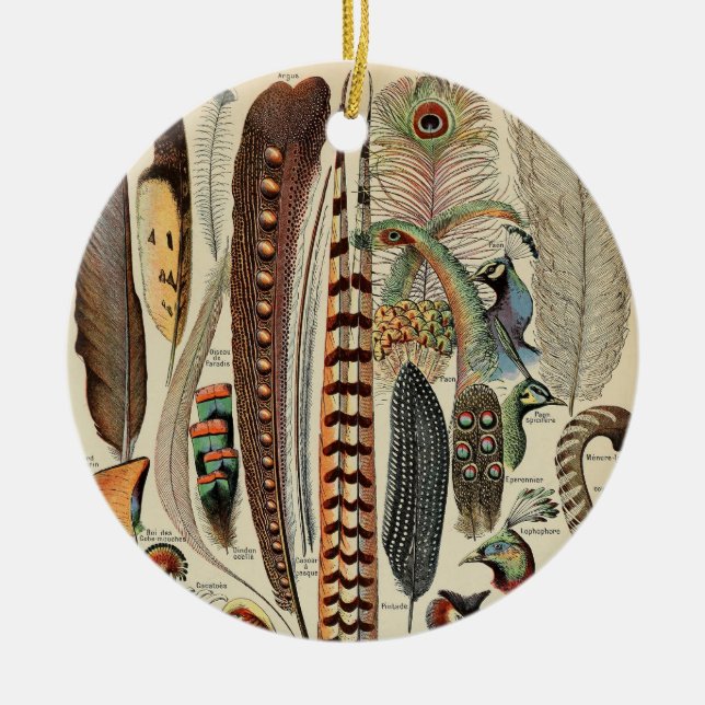 Feather Bird Wildlife Antique Feathers Ceramic Ornament (Front)