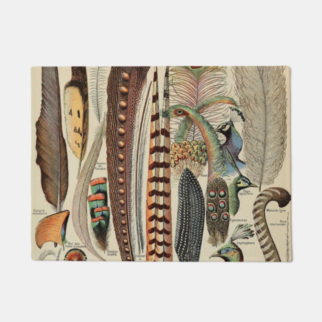 Feather Bird Wildlife Antique Feathers Doormat (Front)