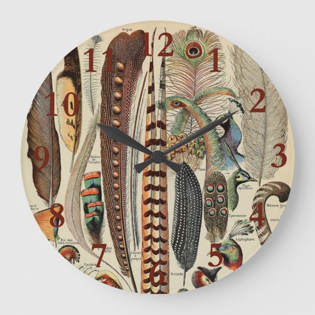 Feather Bird Wildlife Antique Feathers Large Clock (Front)