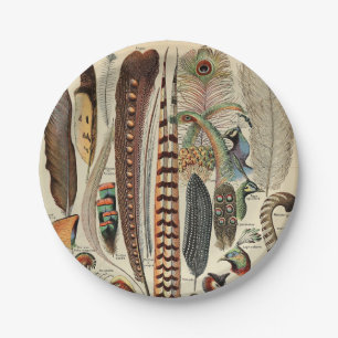 Feather Bird Wildlife Antique Feathers Paper Plate