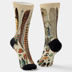 Feather Bird Wildlife Antique Feathers Socks