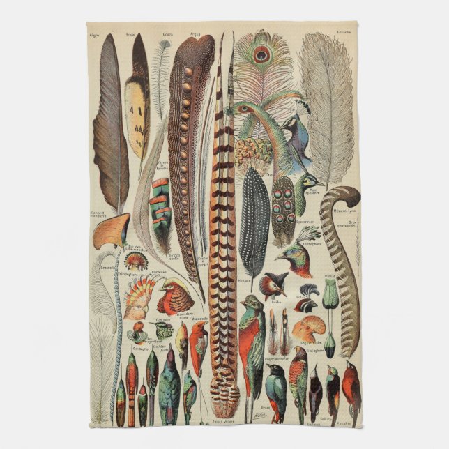 Feather Bird Wildlife Antique Feathers Tea Towel (Vertical)