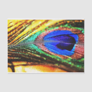 Feather by Shirley Taylor Tissue Paper