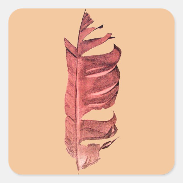 Feather drawing fine art original illustration square sticker (Front)