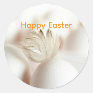Feather Graphic Classic Round Sticker